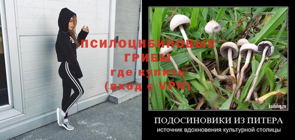 каннабис Заволжск