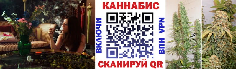 Купить  Руза  Каннабис план 